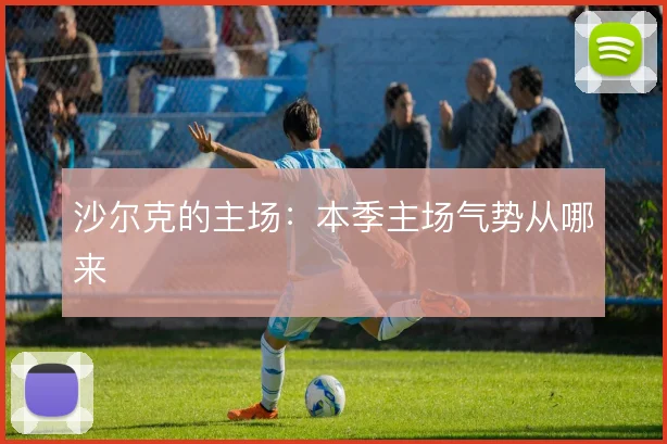 沙尔克的主场：本季主场气势从哪来