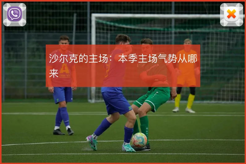沙尔克的主场：本季主场气势从哪来